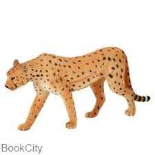 Cheetah Male 387197