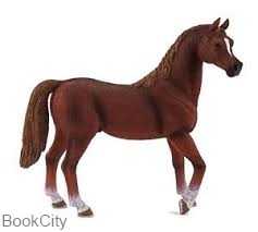 Arabian Stallion 387084