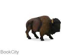 American Bison 387024