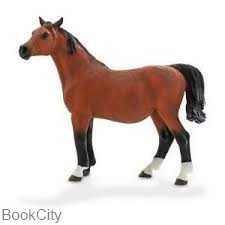 Arabian Mare in Foal 387194