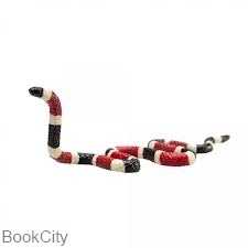 Coral Snake 387251
