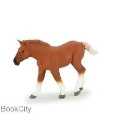 Suffolk Punch Foal 387196