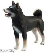 Shiba Inu Black 387363