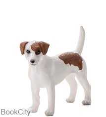 Jack Russell 387286