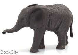 African Elephant Calf 387190