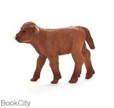 Highland Calf 387202