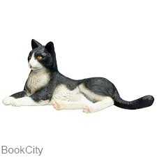Cat Lying Black and White 387367