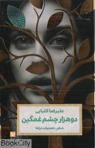 دو هزار چشم غمگین (شعر تصنیف ترانه)