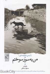 من به سور سوختم