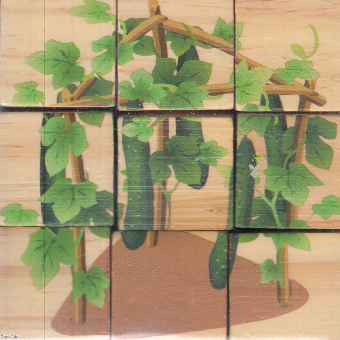 پازل مکعبی شش‌وجهی 12 عددی (متنوع)