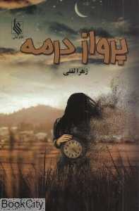 پرواز در مه