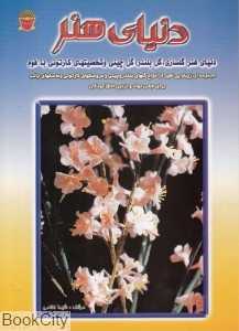 دنیای هنر (گل‌سازی گل بلندر گل چینی و شخصیت‌های کارتونی با فوم)