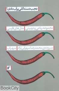 عجب دسته گلی بر آب دادی (مجموعه رباعی و دو بیتی مثل‌های فارسی)