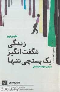 زندگی شگفت‌انگیز یک پستچی تنها