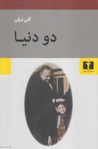 item.website_item_name