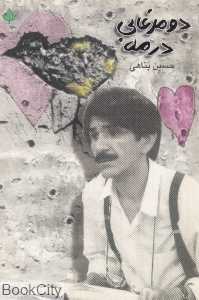 دو مرغابی در مه