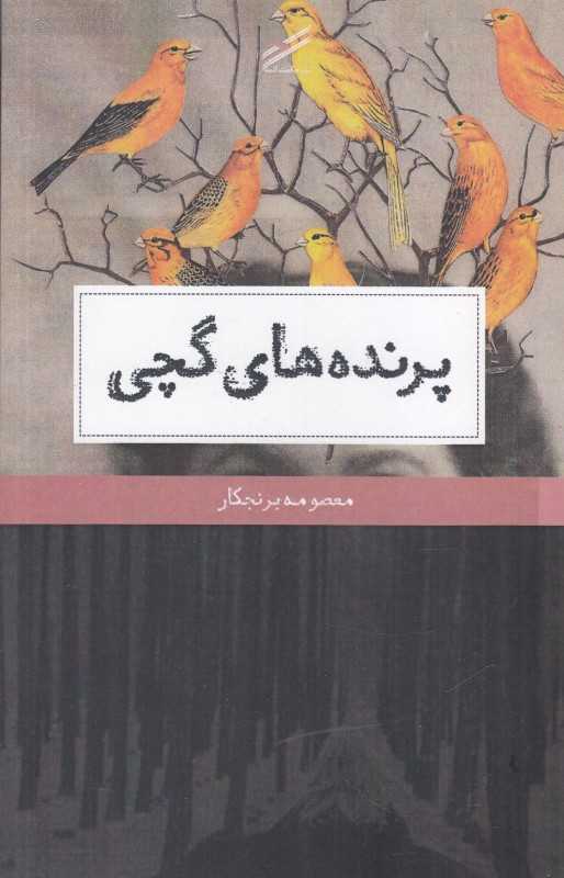 پرنده‌های گچی