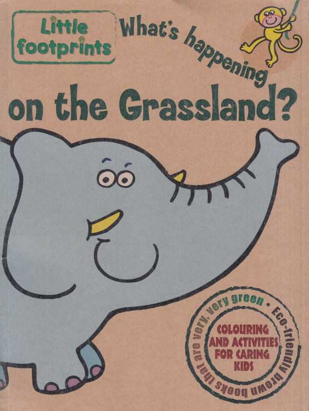 On the Grassland