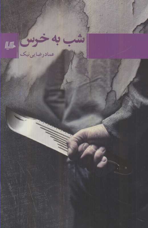 شب به خرس
