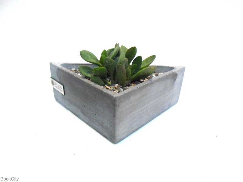 گلدان D3 سایز 4 طوسی دیاکو - 0