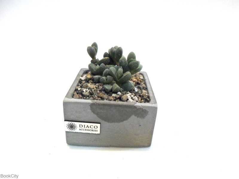 گلدان D1 طوسی دیاکو - 0