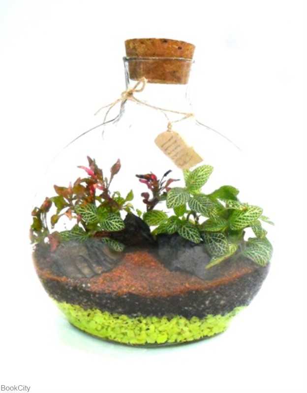 اسکای ایران تراریوم - 0