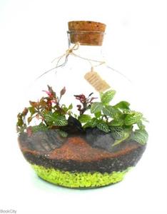 item.website_item_name