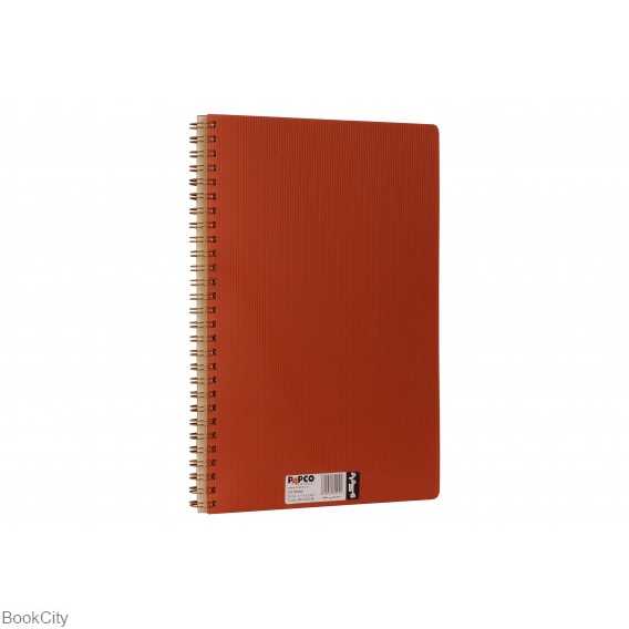 دفتر 100 برگ وزیری متالیک PAPCO NB-620-2BC - 0