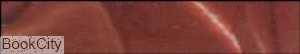 رنگ آکریلیک MAIMERI 278 3D Burnt Sienna 140ml