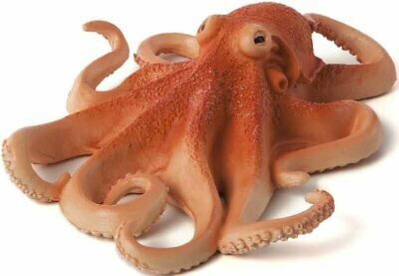 Octopus 387275