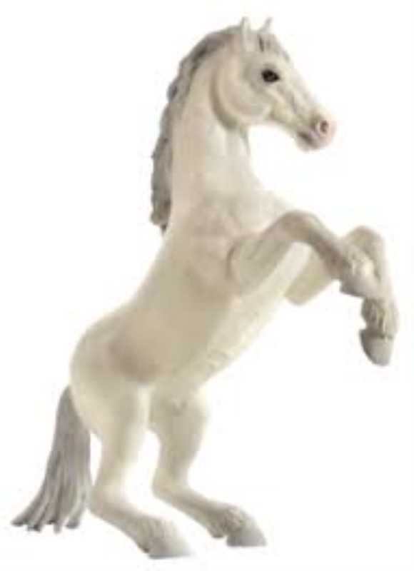 Mustang rearing White 387351