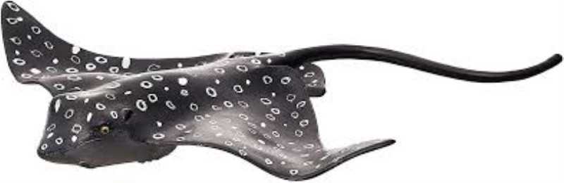 Spotted Eagle Ray 387352