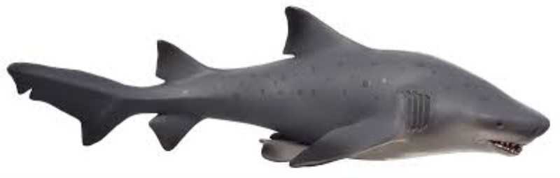 Bull Shark Deluxe 387355