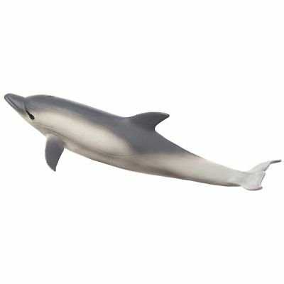 Common Dolphin 387358