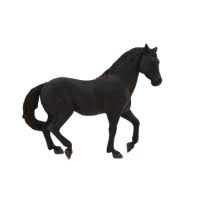 Mustang rearing Black 387359