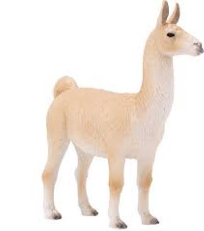 Lama 387391