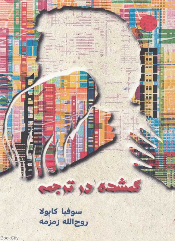 گمشده در ترجمه