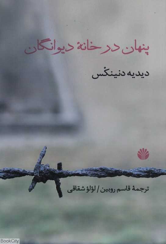 پنهان در خانه دیوانگان