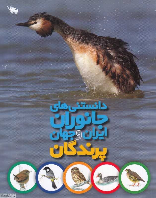 پرندگان (دانستنی‌های جانوران ایران و جهان)