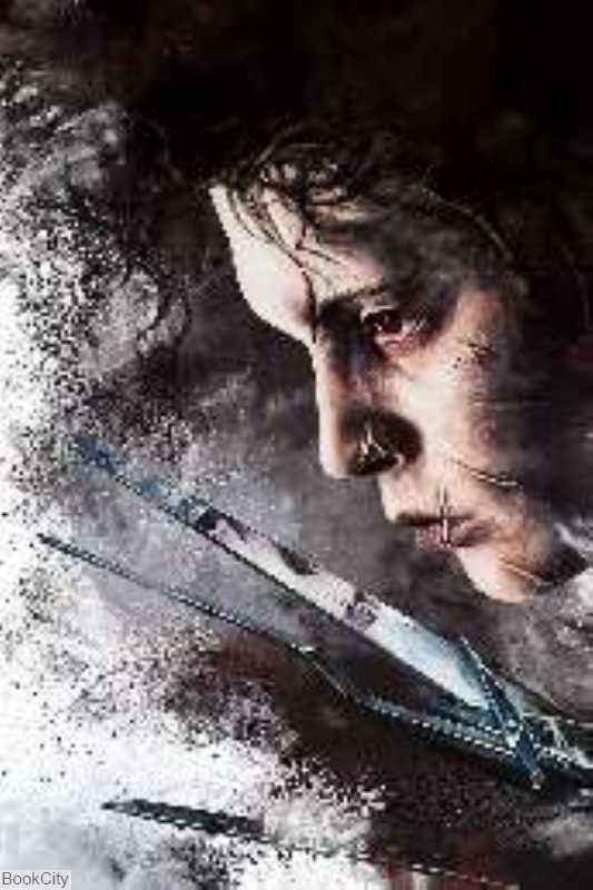 تابلو BlueWish 23081 Edward Scissorhands 20×30
