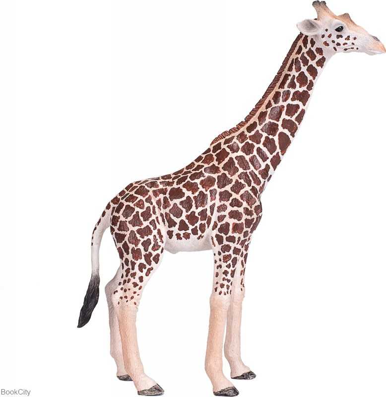 Giraffe Male 381008