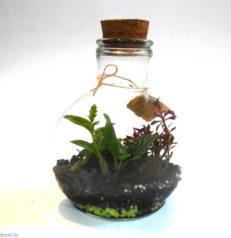 اسلو ایران تراریوم - 0