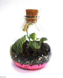 item.website_item_name