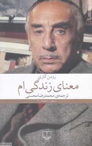 item.website_item_name