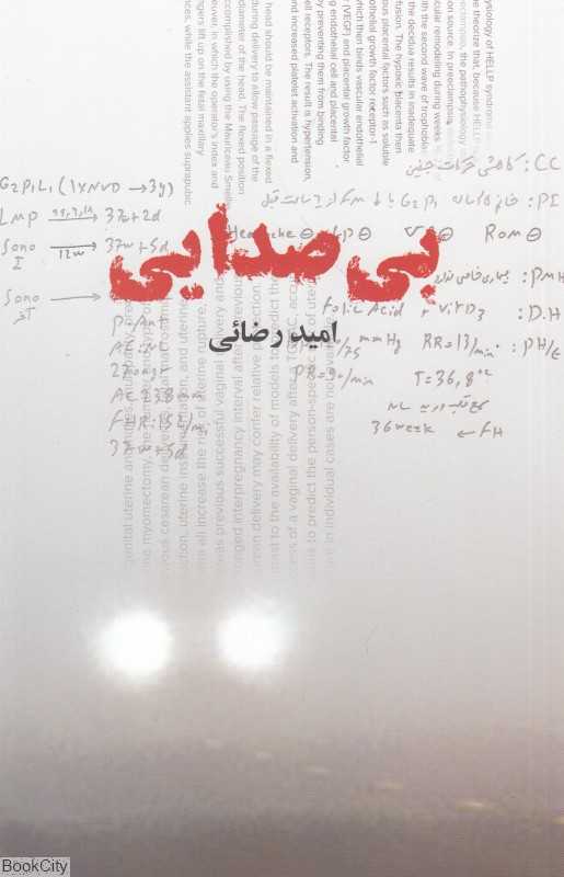 بی‌صدایی (نغمه زندگی)