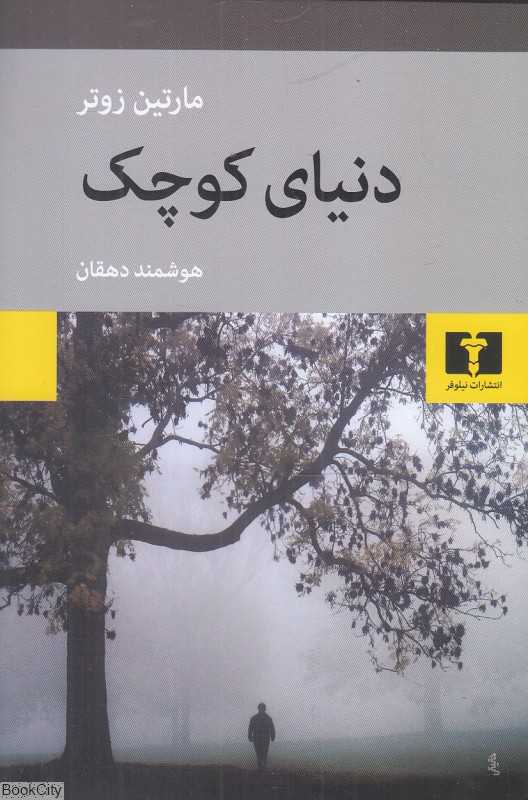 دنیای کوچک