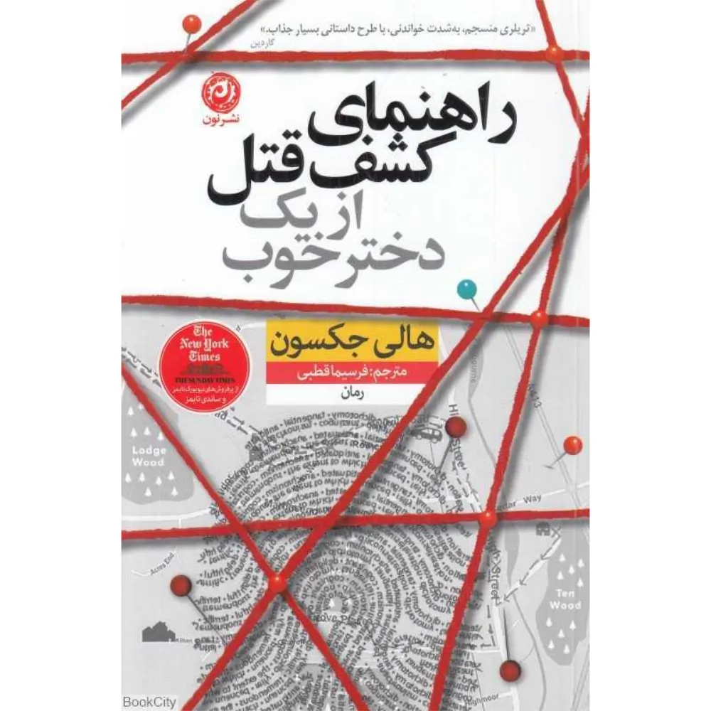 راهنمای کشف قتل از یک دختر خوب (رمان)
