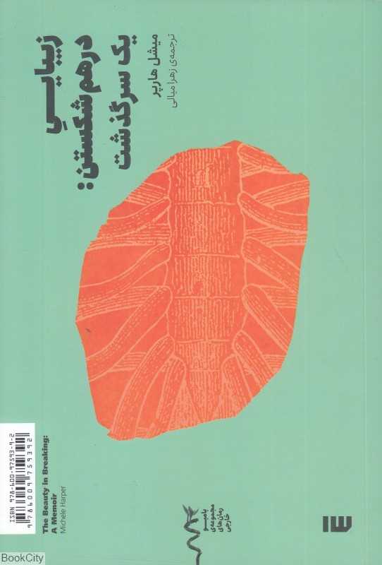 زیبایی درهم‌شکستن (یک سرگذشت)