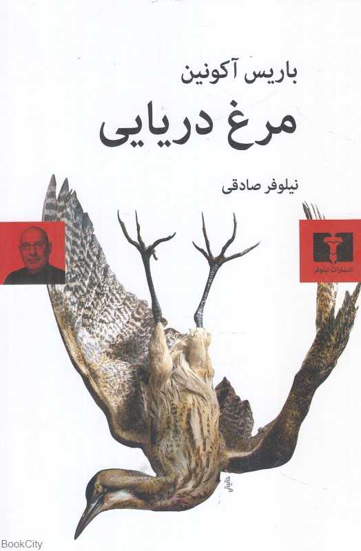 مرغ دریایی (نیلوفر)