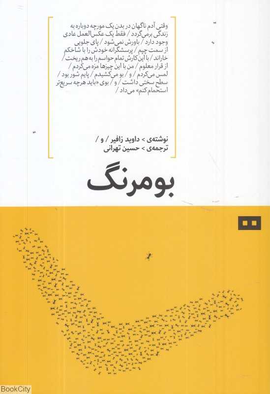 بومرنگ (هیرمند)